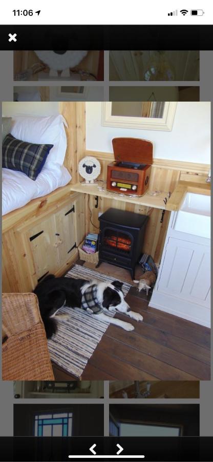 Sheepwash Shepherds Hut Bebside 外观 照片