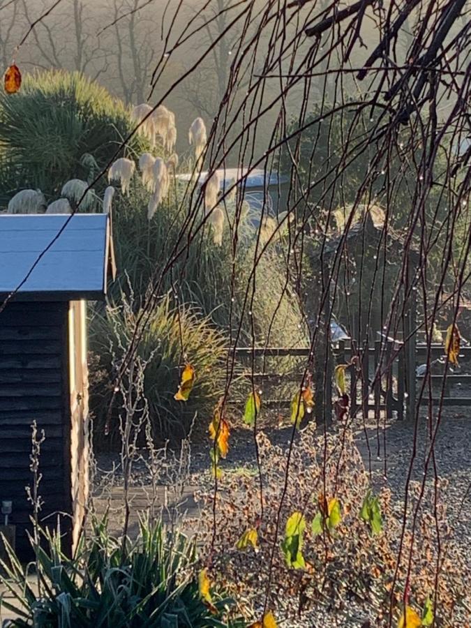 Sheepwash Shepherds Hut Bebside 外观 照片