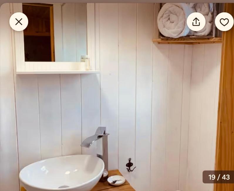 Sheepwash Shepherds Hut Bebside 外观 照片